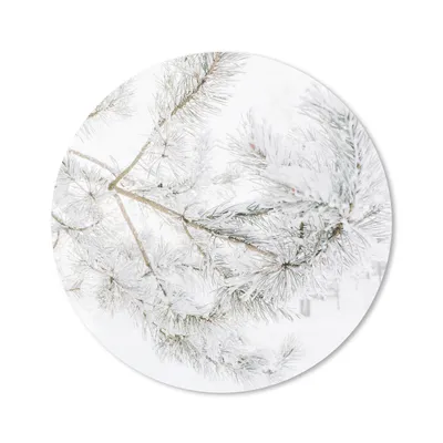 Produktbild von MuchoWow® Mauspad Mousepad Winter - Äste - Schnee 40x40 cm - Mousepads - Maus Mat - Pad - Mausunterlage - Schreibtisch Accessoires