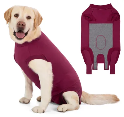 Hunde-Body nach Kastration, Leck-Schutz, 3XL, rot, einteilig