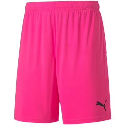 Obrázek produktu pro Šortky Puma teamGOAL 23