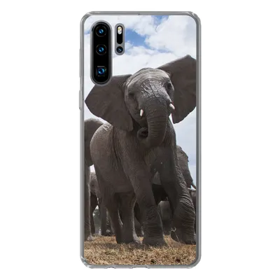 Produktbild von MuchoWow® Handyhülle Schutzhülle Hülle für Huawei P30 Pro Elefant - Tiere - Natur - Flachland Silikon Softcase Handy Hülle - Schutzdeckel