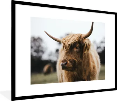 Produktbild von MuchoWow® Gerahmtes Poster Schottischer Highlander - Tiere - Hörner 80x60 cm - Poster mit Schwarzem Bilderrahmen Wandposter Rahmen Foto Bilder - Schlafzimmer-Dekorationen - Fotoposter