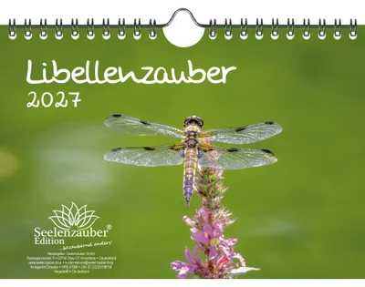 Produktbild von Libellenzauber DIN A5 Kalender für 2027 - Seelenzauber