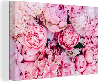 Produktbild von MuchoWow® - Leinwandbilder - Blumen - Rosa - Rosen, Wandbild, Wanddeko Bilder Wohnzimmer, 120x80cm