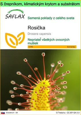 Obrázok produktu pre SAFLAX Garden to go - rosička - Drosera capensis - 200 Semená - S črepníkom, klimatickým vekom a pestovateľským substrátom