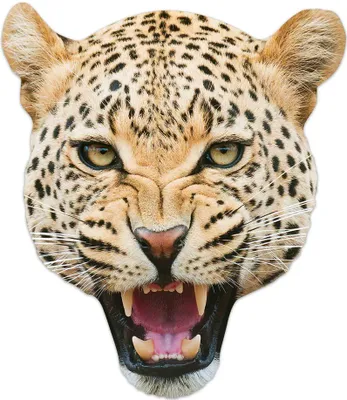Image de Masque d'animal - Masques - Léopard