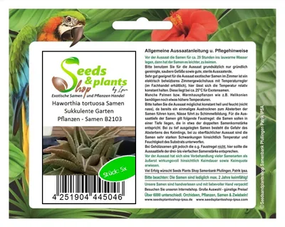 Produktbild von 5x Haworthia tortuosa Samen Sukkulente Garten Pflanzen - Samen B2103