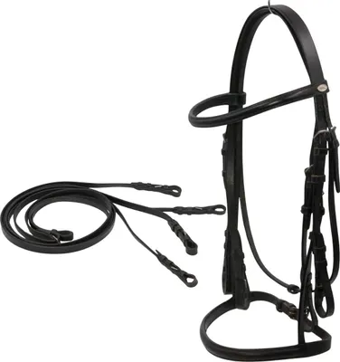 Produktbild von Kandarenzaum, Gr. Warmblut in F/S