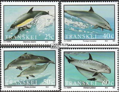 Produktbild von Briefmarken Südafrika - Transkei 1991 Mi 267-270 (kompl.Ausg.) postfrisch Delphine