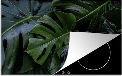 Produktbild von KitchenYeah© Herdabdeckplatte Monstera mit dunklem Hintergrund , 78x52cm, Küche Deko, Glaskeramikkochfeld Herdabdeckung, Abdeckplatte fùr Kochfeld