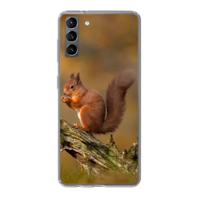 Produktbild von MuchoWow® Handyhülle Schutzhülle Hülle für Samsung Galaxy S21 Plus Eichhörnchen - Baumstamm - Wald Silikon Softcase Handy Hülle - Handy-Tasche