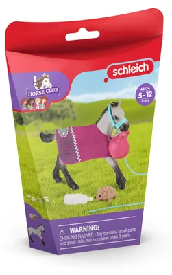 Produktbild von schleich HORSE CLUB Spielspaß mit Fohlen, Horses, 5 Jahr(e), Mehrfarbig