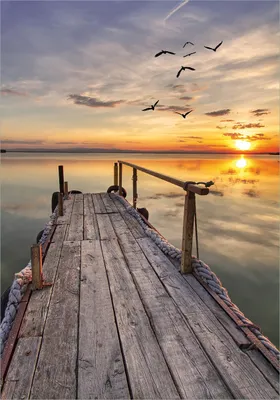 Produktbild von Wallario selbstklebendes Poster - Sonnenuntergang über dem See  idyllischer Steg, Größe: 70 x 100 cm