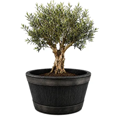 Produktbild von BigDean Weinfass Eichenfass XL 90 Liter Blumenkasten 63x38cm Miniteich