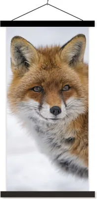 Produktbild von MuchoWow® Textilposter Fuchs - Porträt - Schnee 60x120 cm mit schwarzem Rahmen - Magnete
