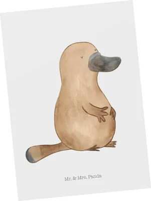 Produktbild von Mr. & Mrs. Panda Postkarte Schnabeltier Mut - Weiß - Geschenk, bildkarte, Postkarten, Ansichtskarte, Meer, Training, Arbeit, einzelkarte, Motivation, Lebensweisheit