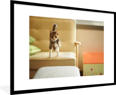 Produktbild von MuchoWow® MuchoWow® Gerahmtes Poster Katze - Frühling - Stuhl 90x60 cm - Poster mit zchwarzem Bilderrahmen - Wanddekoration - Fotos