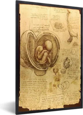 Produktbild von MuchoWow® MuchoWow® Gerahmtes Poster Baby im Mutterleib - Leonardo da Vinci 60x90 cm - Poster mit zchwarzem Bilderrahmen - Kunst