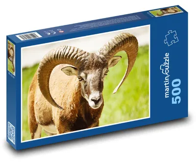 Obrázek produktu pro martinpuzzle - Puzzle 500 - Muflon na louce