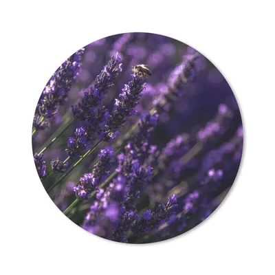 Produktbild von MuchoWow® Mauspad Mousepad Nahaufnahme von Lavendel mit Biene 20x20 cm - Mousepads - Maus Mat - Pad - Mausunterlage - Schreibtischmatte