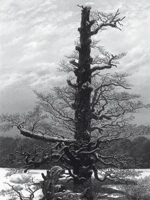 Produktbild von Caspar David Friedrich Kunstdruck Bild - Eichbaum Im Schnee, 1829, S/W (80 x 60 cm)