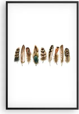 Produktbild von Gerahmtes Poster - Schwarzer Rahmen - Weiß Hintergrund Federn - 61x91,5 cm - Wand Bild - Wanddeko - Wandbilder - Kunstposter - Wandposter - Bilderrahmen - Bilder - Kunstdruck - P2BPA61x91-4419