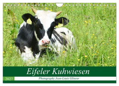 Produktbild von Eifeler Kuhwiesen (Wandkalender 2027 DIN A4 quer), CALVENDO Monatskalender