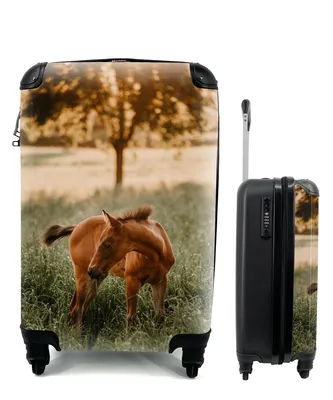 Produktbild von MuchoWow® Koffer Handgepäck Trolley Rollkoffer Kleine Reisekoffer mit 4 Rollen - Pferd - Gras - Baum - Cabin Size < 55x40x23 cm & 55x40x20 cm - Fotokoffer - Kabinenkoffer - Boardgepäck - Reise-Box - Reisekoffer - Reisegepäck - Koffer mit Bild - Trolley für Kinder