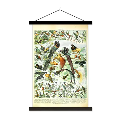 Produktbild von MuchoWow® Textilposter Vögel - Natur - Tiere 120x180 cm mit schwarzem Rahmen - Fotos