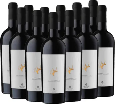 Produktbild von 12er Vorteils-Weinpaket - Settebraccia Rosso - Cantina Sampietrana
