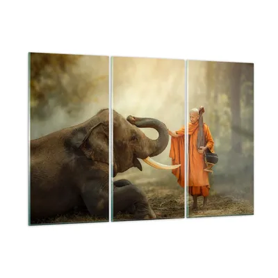 Produktbild von Bilder auf glas - Elefant Mönch Stoßzahn - 165x110cm - Glasbilder - Wandbilder - Kunstdruck - zum Aufhängen bereit - Wanddekoration aus Glas - Glas Bilder - Wandbild auf Glas - GCE165x110-3484