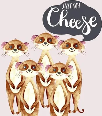 Produktbild von 20 Servietten Say Cheese 33x33cm