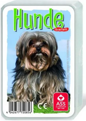 Produktbild von ASS Quartett Hunde, 1 Set