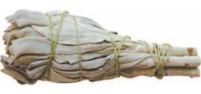 Produktbild von Räucherstick Weisser Salbei "Smudge" 10cm