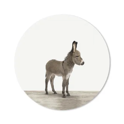 Produktbild von MuchoWow® Mauspad Mousepad Tiere - Esel - Grau 30x30 cm - Mousepads - Maus Mat - Pad - Mausunterlage - Tischunterlage - Schreibtischmatten