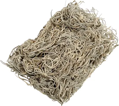 Produktbild von KNORR PRANDELL 216692982 Dschungelgras natur