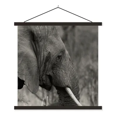 Produktbild von MuchoWow® Textilposter Elefant - Tiere - Schwarz - Weiß 120x120 cm mit schwarzem Rahmen - Aufhängungsset