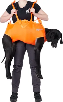 Produktbild von Non-stop dogwear Dog rescue sling |297, Größe:S