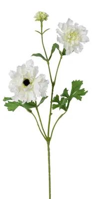 Produktbild von Künstlicher Ranunkelzweig ca. 71cm. Kunstblume Ranunkel. Weiß