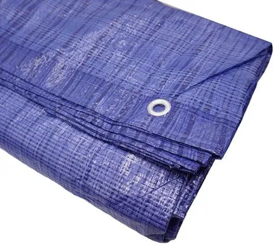 Productafbeelding van Waterdichte Tarpaulin 4 x 6 m met Oogjes