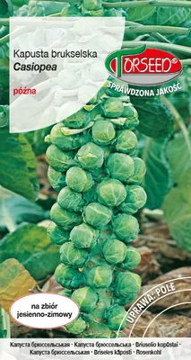 Produktbild von Samen von Casiopea Rosenkohl 2g - Torseed