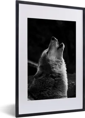 Produktbild von MuchoWow® MuchoWow® Gerahmtes Poster Heulender grauer Wolf - schwarz und weiß 40x60 cm - Poster mit zchwarzem Bilderrahmen - Poster in Rahmen