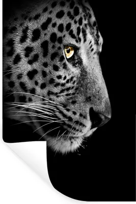 Produktbild von MuchoWow® Wandtattoo Wandsticker Wandaufkleber Leopard - Fell - Tier 60x90 cm Selbstklebend und Repositionierbar - Sticker - Dekorfolie