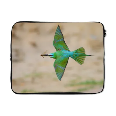 Produktbild von MuchoWow® Laptop Hülle 17 Zoll Laptoptasche Ein bunter Bienenfresser - Zipper - Schutzabdeckung