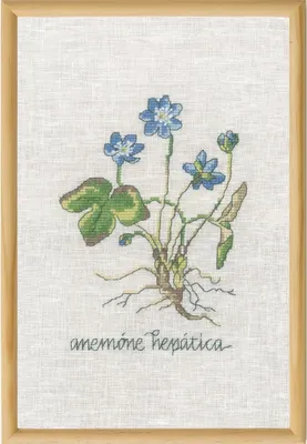 Produktbild von Permin Kreuzstich Stickpackung "Blaue Anemone", Zählmuster, 20x30cm, 70-1830