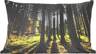 Produktbild von MuchoWow® Zierkissen Sofakissen Wohnzimmer Dekokissen 60x40 cm Baum - Natur - Sonne - Wald - Kopfkissen - Polster mit Foto
