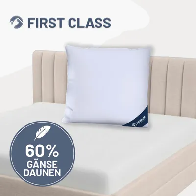 Produktbild von Daunenkissen 80x80 cm, Kissen 60% Gänsedaunen / 40% Gänsefedern, DOWNPASS, CASIMUM