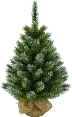 Image de Triumph Tree Pittsburgh Arbre de Noël artificiel dans un sac en jute - H60 x Ø38 cm - Vert givré