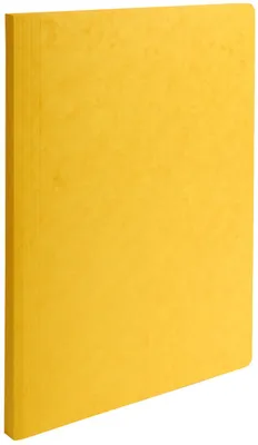 Image de EXACOMPTA Chemise LUSTRO, 240 x 320 mm, jaune