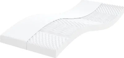 Image de vidaXL Matelas en mousse 2 pcs. 100x200 cm 7 zones dureté 20 ILD