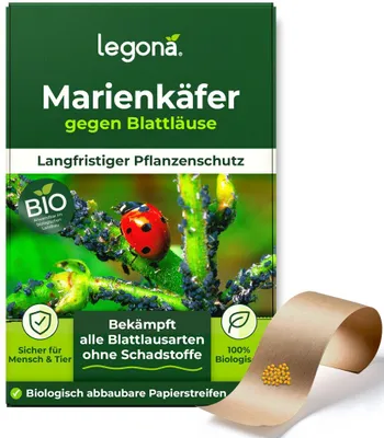 Produktbild von Marienkäferlarven gegen Blattläuse - 100 Marienkäfer-Eier für 10 m²